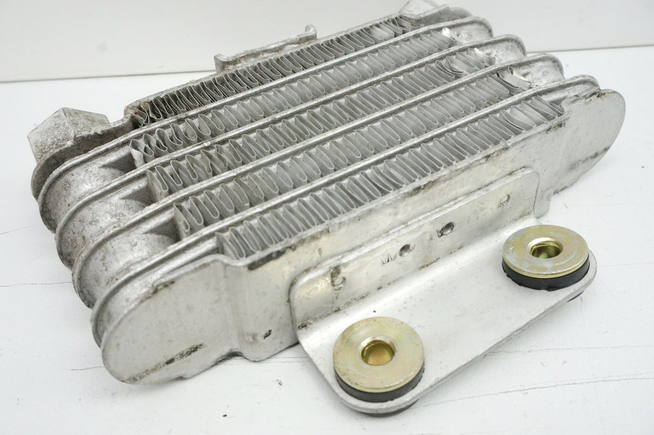 DAELIM VL 125 FI DAYSTAR BA1 Radiador de aceite DAE-1901A-SA1-0100