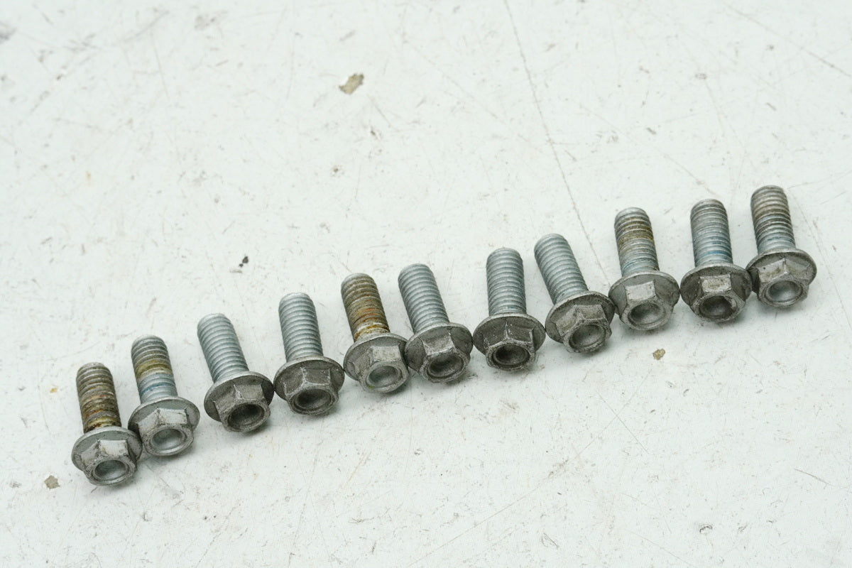 Aprilia Pegaso 650 660 Strada Screws for Front & Rear Brake Disc