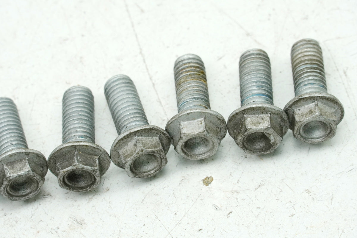 Aprilia Pegaso 650 660 Strada Screws for Front & Rear Brake Disc