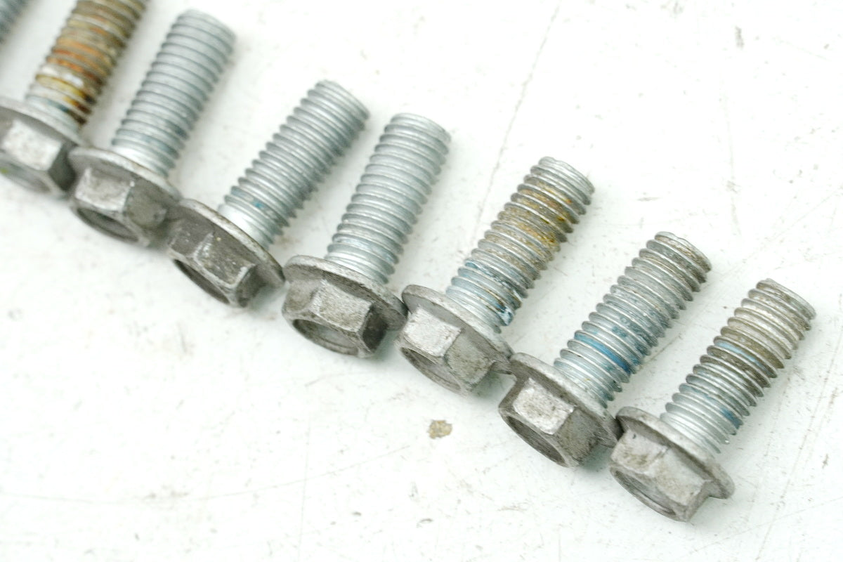 Aprilia Pegaso 650 660 Strada Screws for Front & Rear Brake Disc