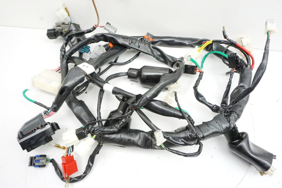 DAELIM VL 125 FI DAYSTAR BA1 Arnés de cables Arnés de cableado principal DAE-32100-BA1-2000