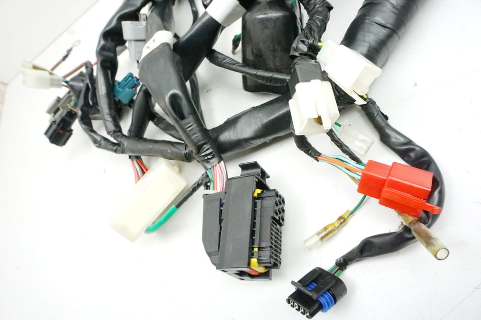DAELIM VL 125 FI DAYSTAR BA1 Arnés de cables Arnés de cableado principal DAE-32100-BA1-2000