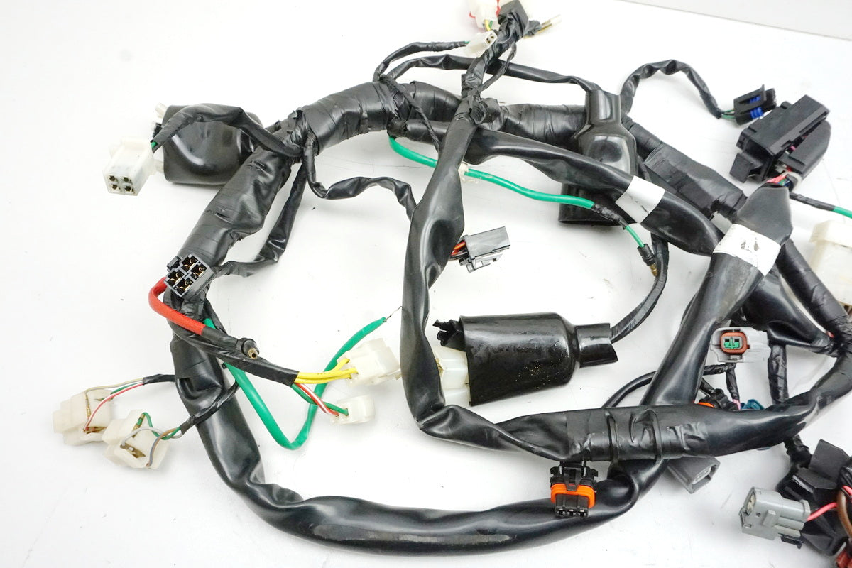 DAELIM VL 125 FI DAYSTAR BA1 Arnés de cables Arnés de cableado principal DAE-32100-BA1-2000