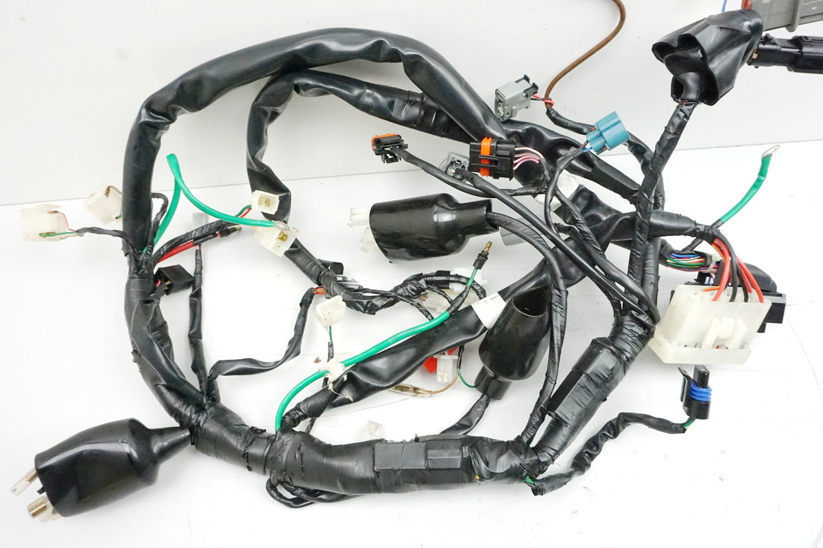 DAELIM VL 125 FI DAYSTAR BA1 Arnés de cables Arnés de cableado principal DAE-32100-BA1-2000