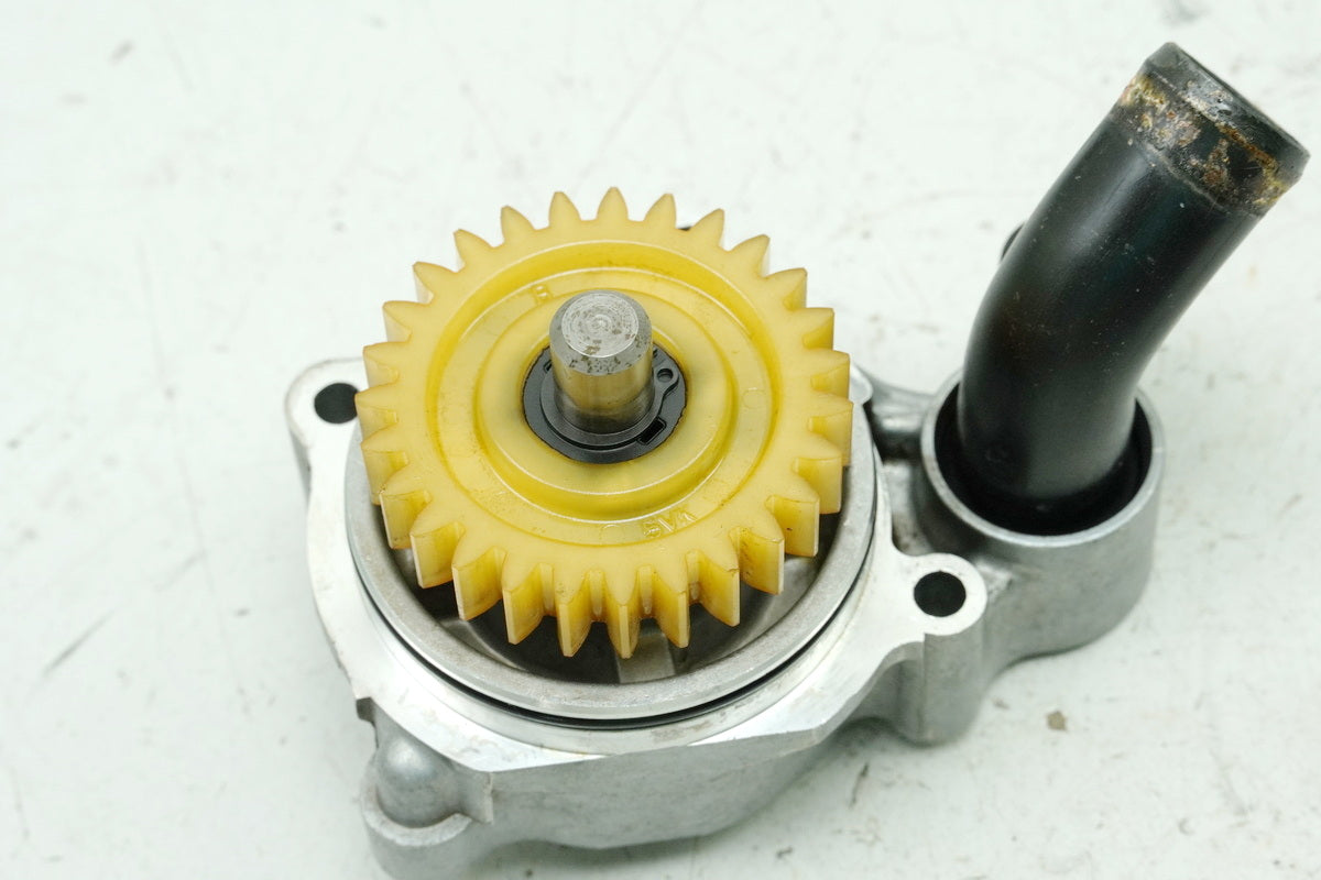Aprilia Pegaso 650 660 Strada Wasserpumpe Motordeckel Cover (für Motor)