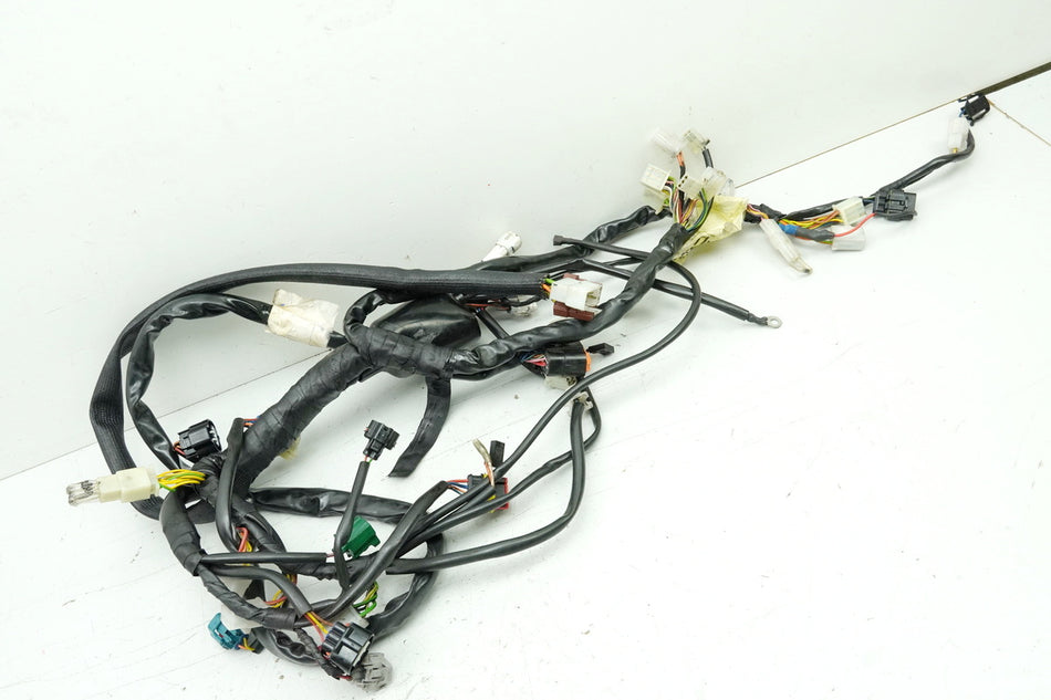 Aprilia Pegaso 650 660 Strada Mazo de cables principal (para motor)