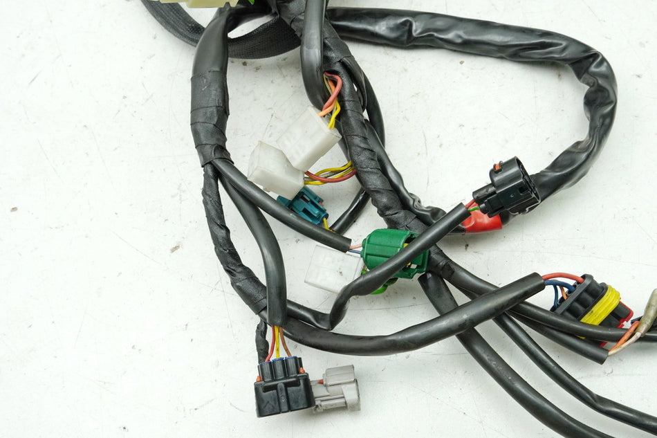 Aprilia Pegaso 650 660 Strada Mazo de cables principal (para motor)