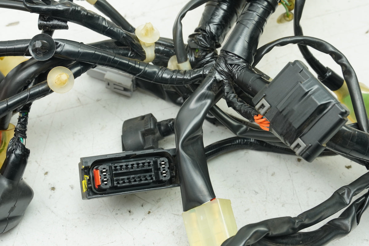 Honda NSS 125 AD JF69 Forza Wire Harness Main Harness Wiring Loom (for engine)
