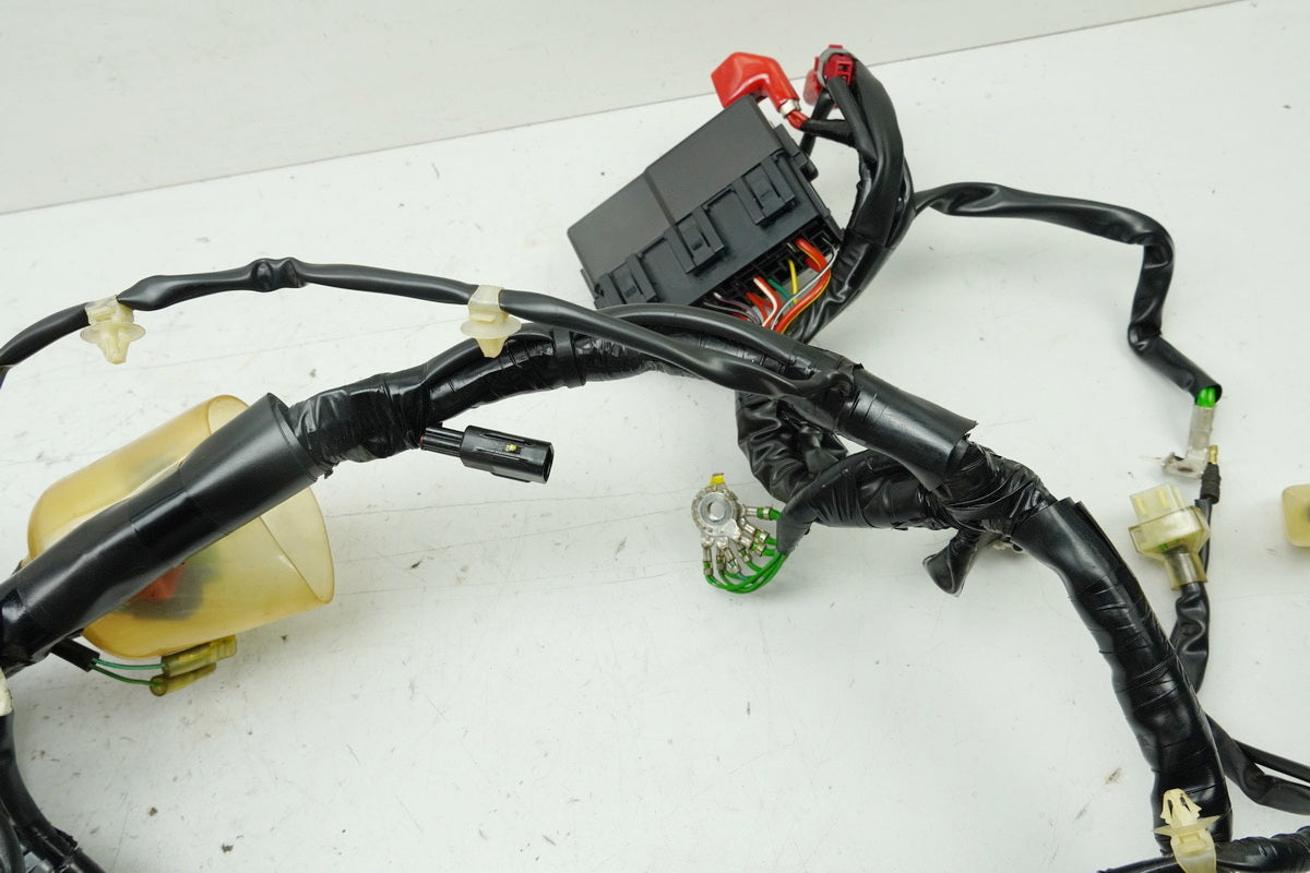 Honda NSS 125 AD JF69 Forza Wire Harness Main Harness Wiring Loom (for engine)