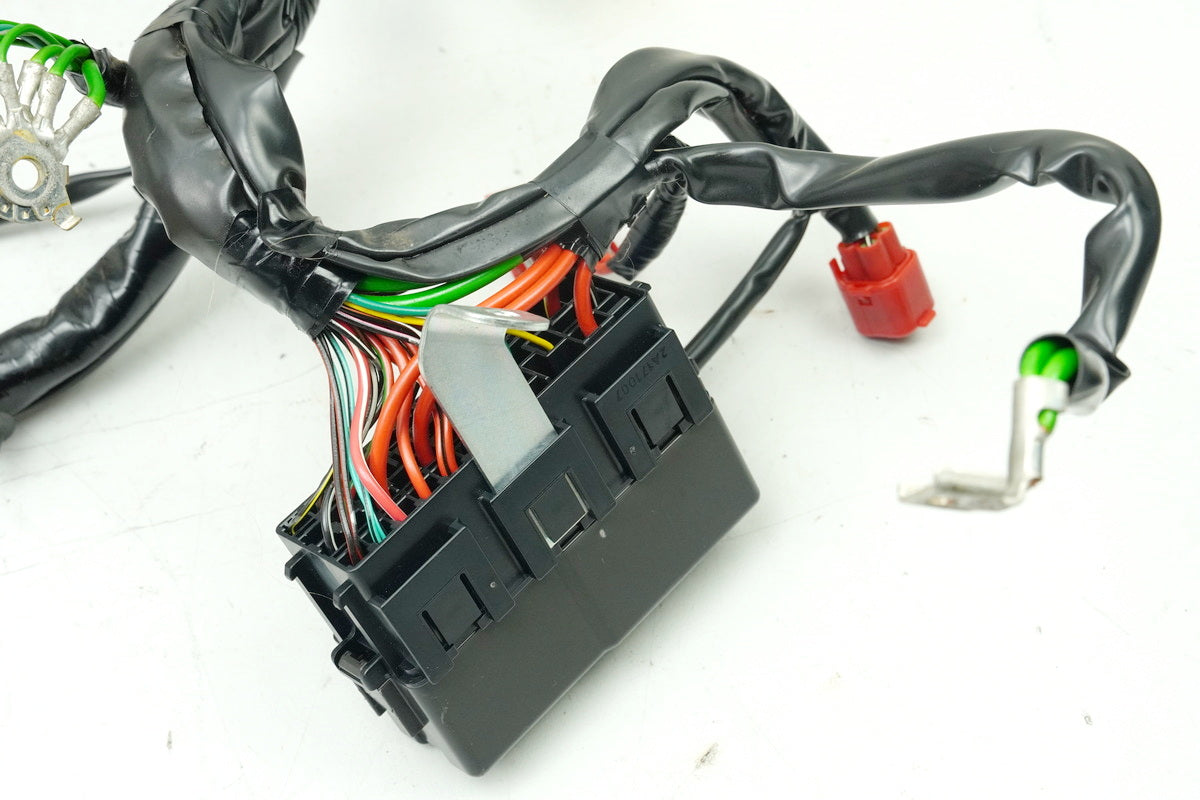 Honda NSS 125 AD JF69 Forza Wire Harness Main Harness Wiring Loom (for engine)
