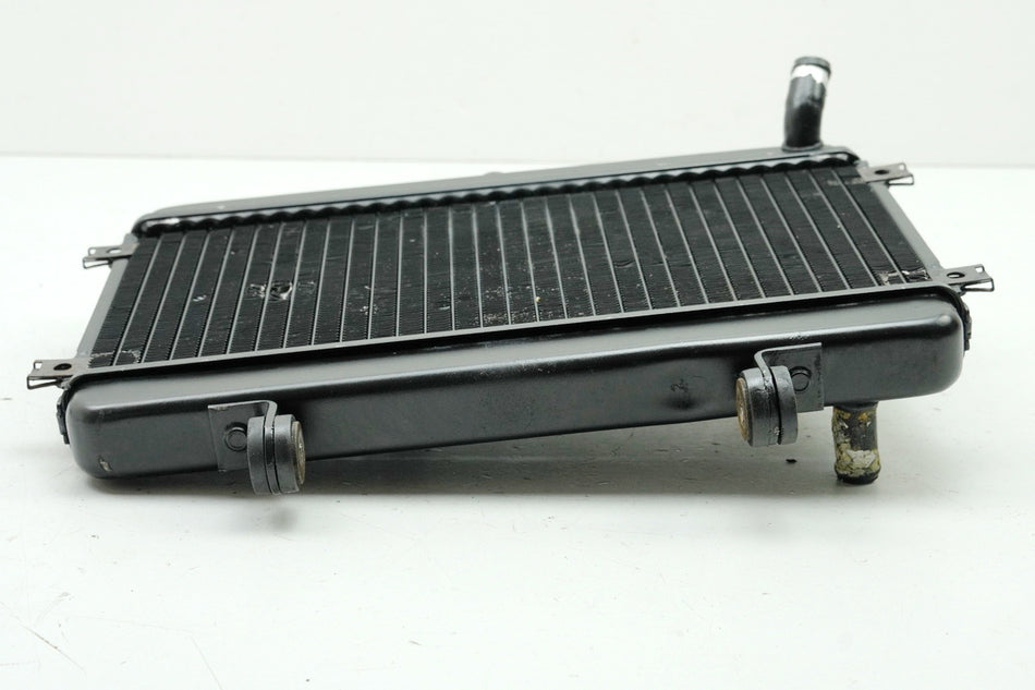 YAMAHA TDR 125 3XE Belgarda Kühler Wasserkühler Water Cooler