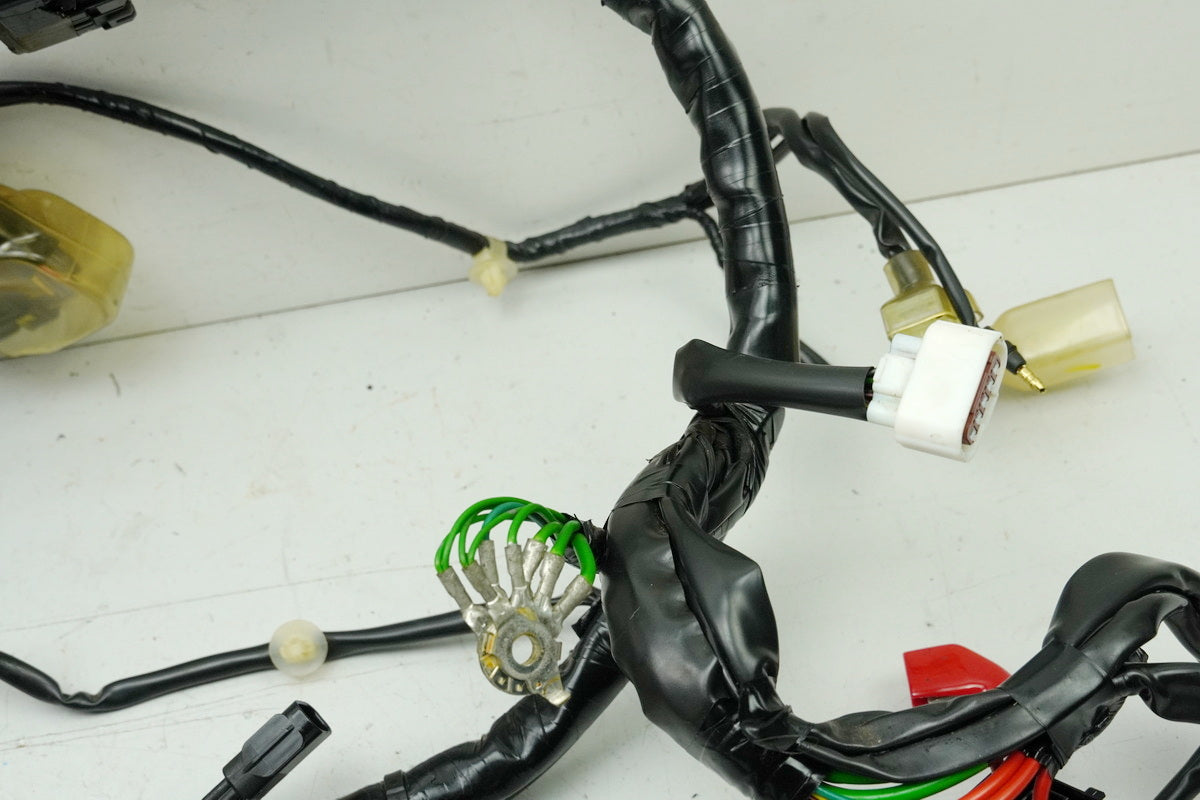 Honda NSS 125 AD JF69 Forza Wire Harness Main Harness Wiring Loom (for engine)