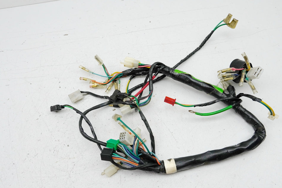 KYMCO ZING 125 RFBRF25AA Mazo de cables, cableado principal para motor 8785km
