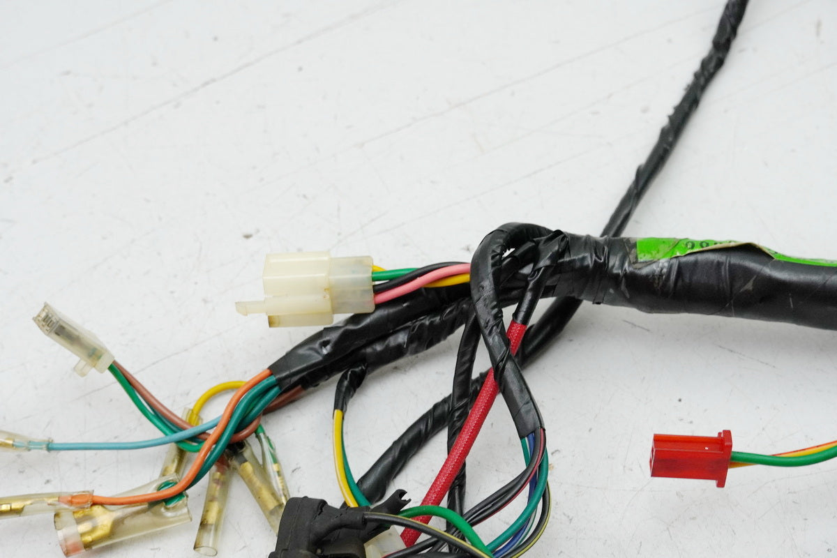 KYMCO ZING 125 RFBRF25AA Mazo de cables, cableado principal para motor 8785km