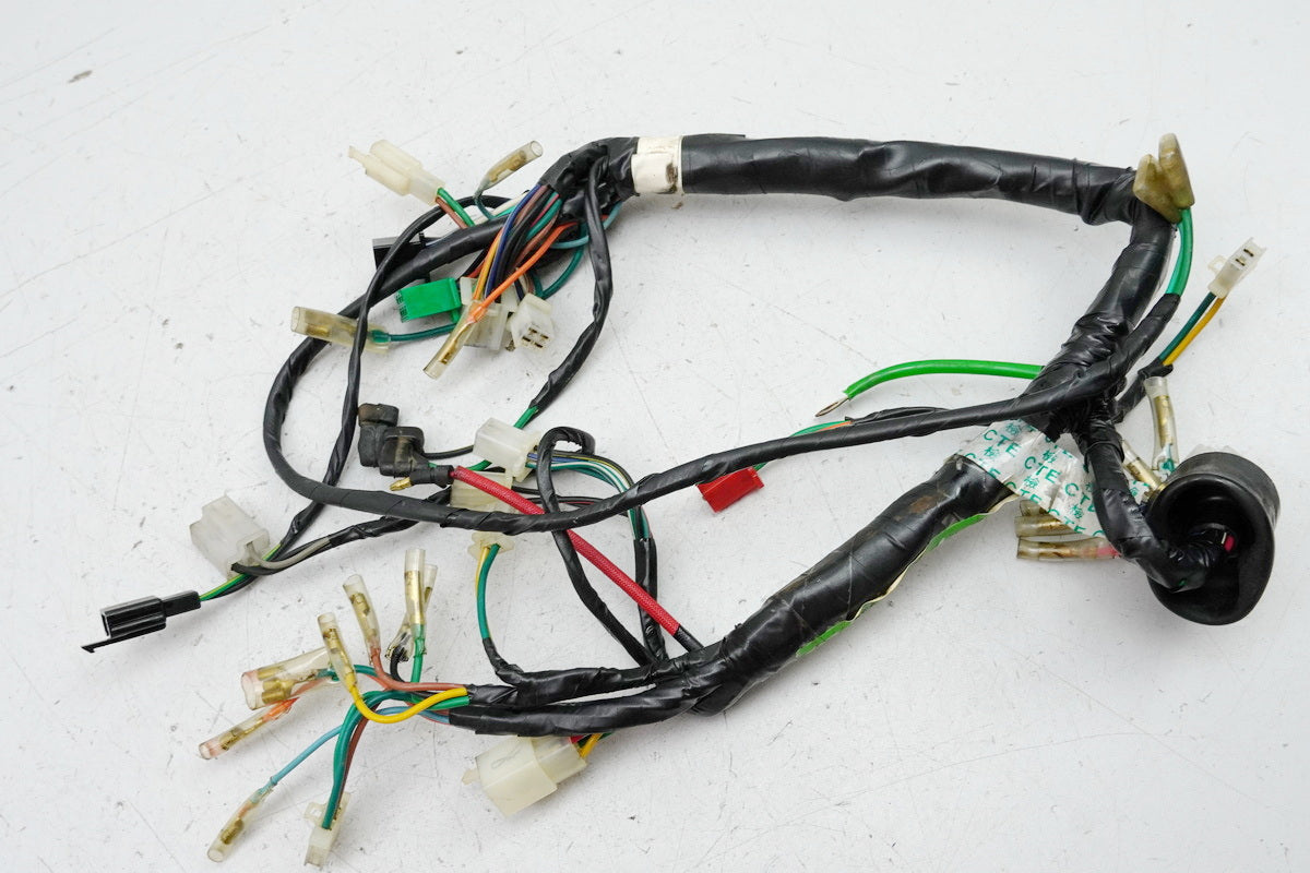 KYMCO ZING 125 RFBRF25AA Mazo de cables, cableado principal para motor 8785km