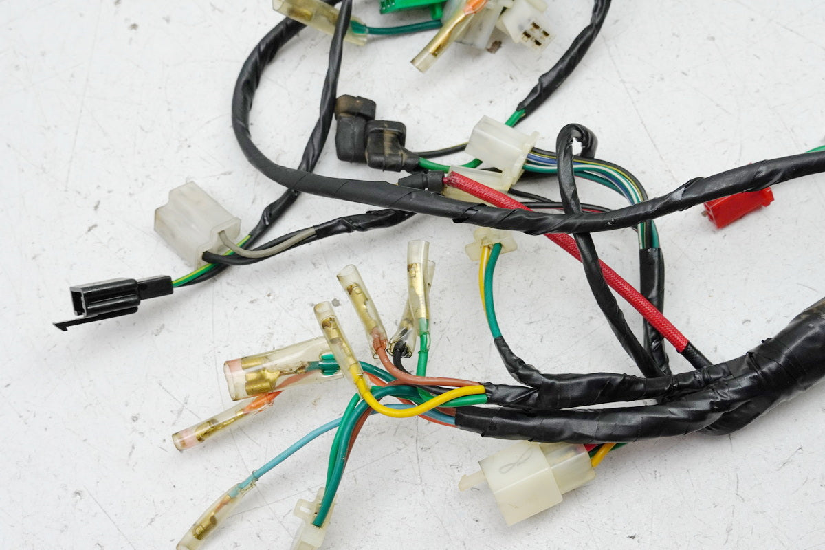 KYMCO ZING 125 RFBRF25AA Mazo de cables, cableado principal para motor 8785km
