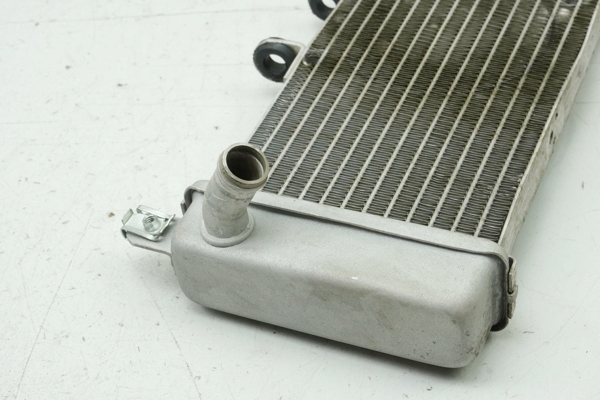 APRILIA RS 125 RS4 ZD4TW Kühler Wasserkühler Water Cooler