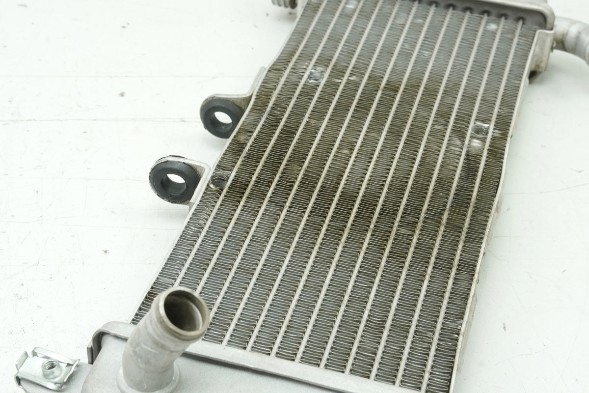 APRILIA RS 125 RS4 ZD4TW Kühler Wasserkühler Water Cooler