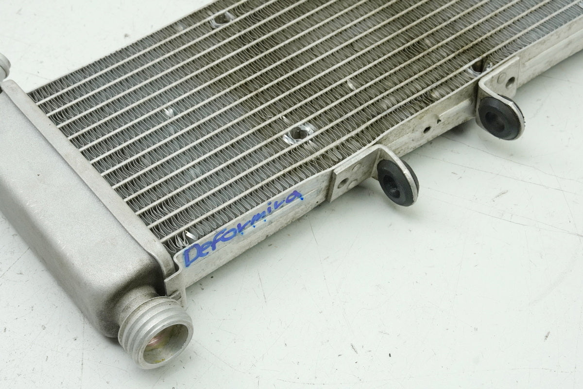 APRILIA RS 125 RS4 ZD4TW Kühler Wasserkühler Water Cooler