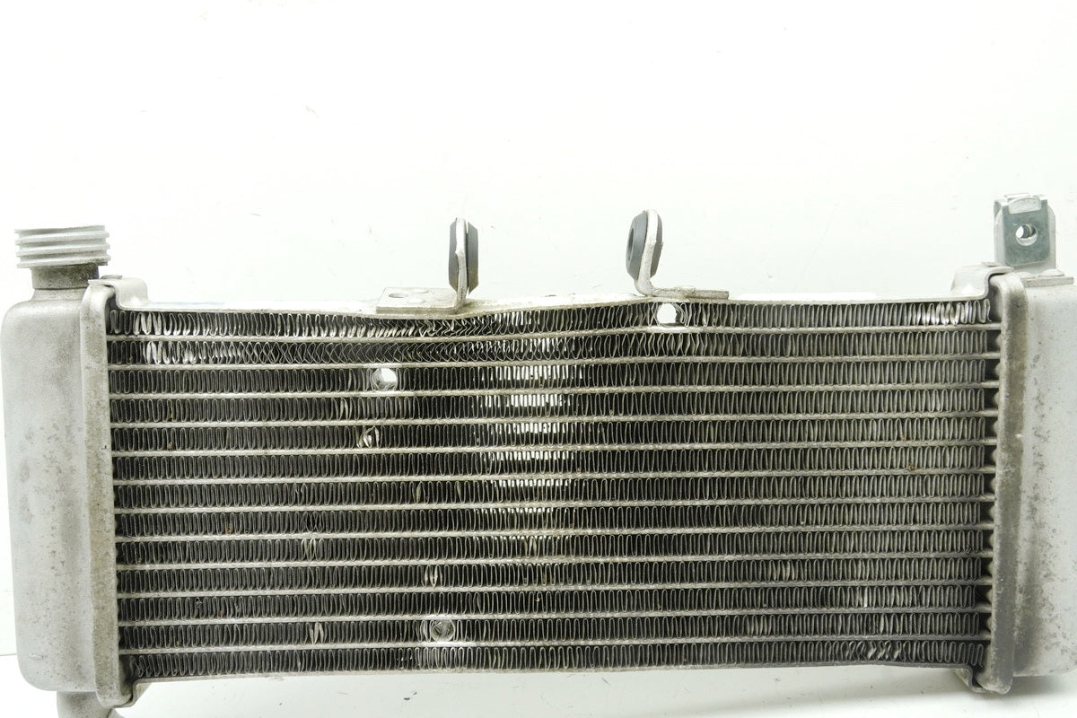 APRILIA RS 125 RS4 ZD4TW Kühler Wasserkühler Water Cooler