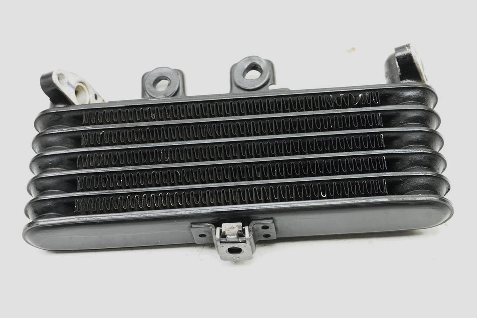 Royal Enfield Himalayan Ölkühler Oil Cooler  18173 km