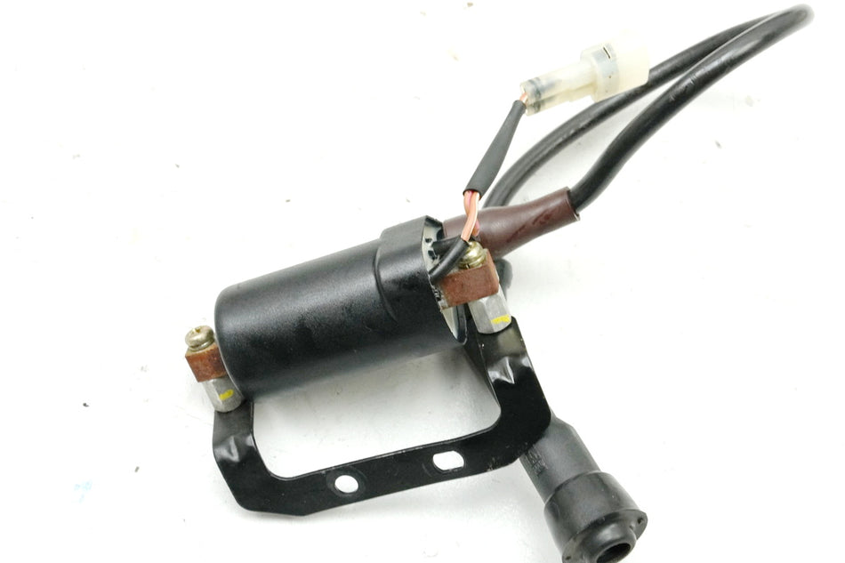 Royal Enfield Himalayan Zündspule Zündkerzenstecker Ignition Coil 18173 km