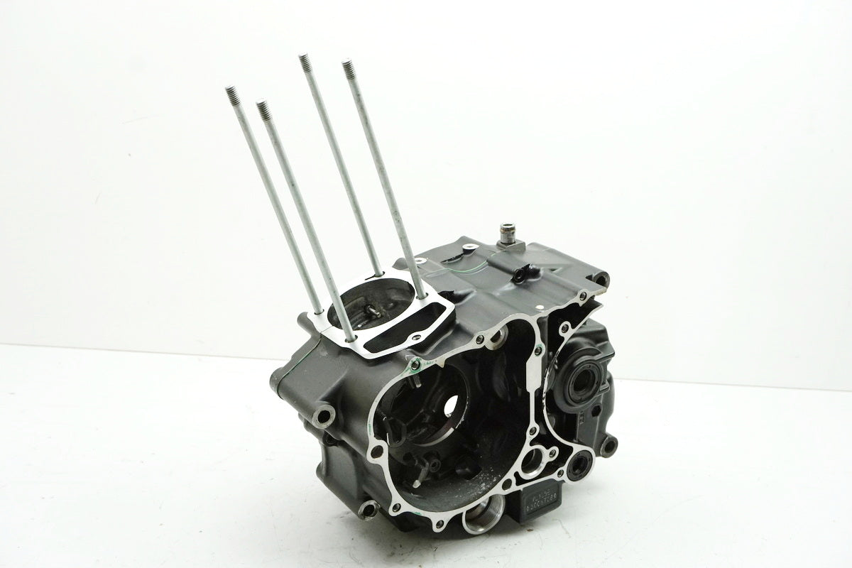DAELIM VL 125 FI DAYSTAR BA1 Cárter de motor Bloque motor DAE-1120A-BA1-K300