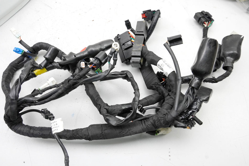 Royal Enfield Himalayan Kabelbaum Hauptkabelbaum Wire Harness