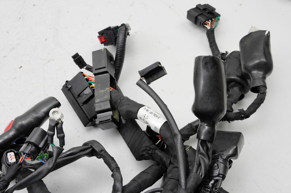 Royal Enfield Himalayan Kabelbaum Hauptkabelbaum Wire Harness