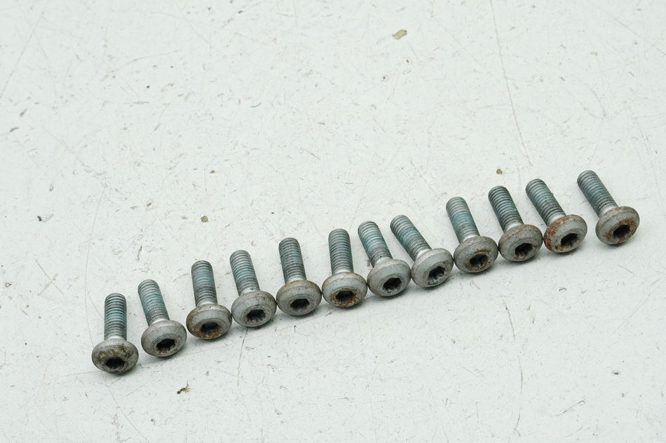 YAMAHA XV 750 4PW 1100 3LP VIRAGO Front Brake Disc Bolts Screw Set