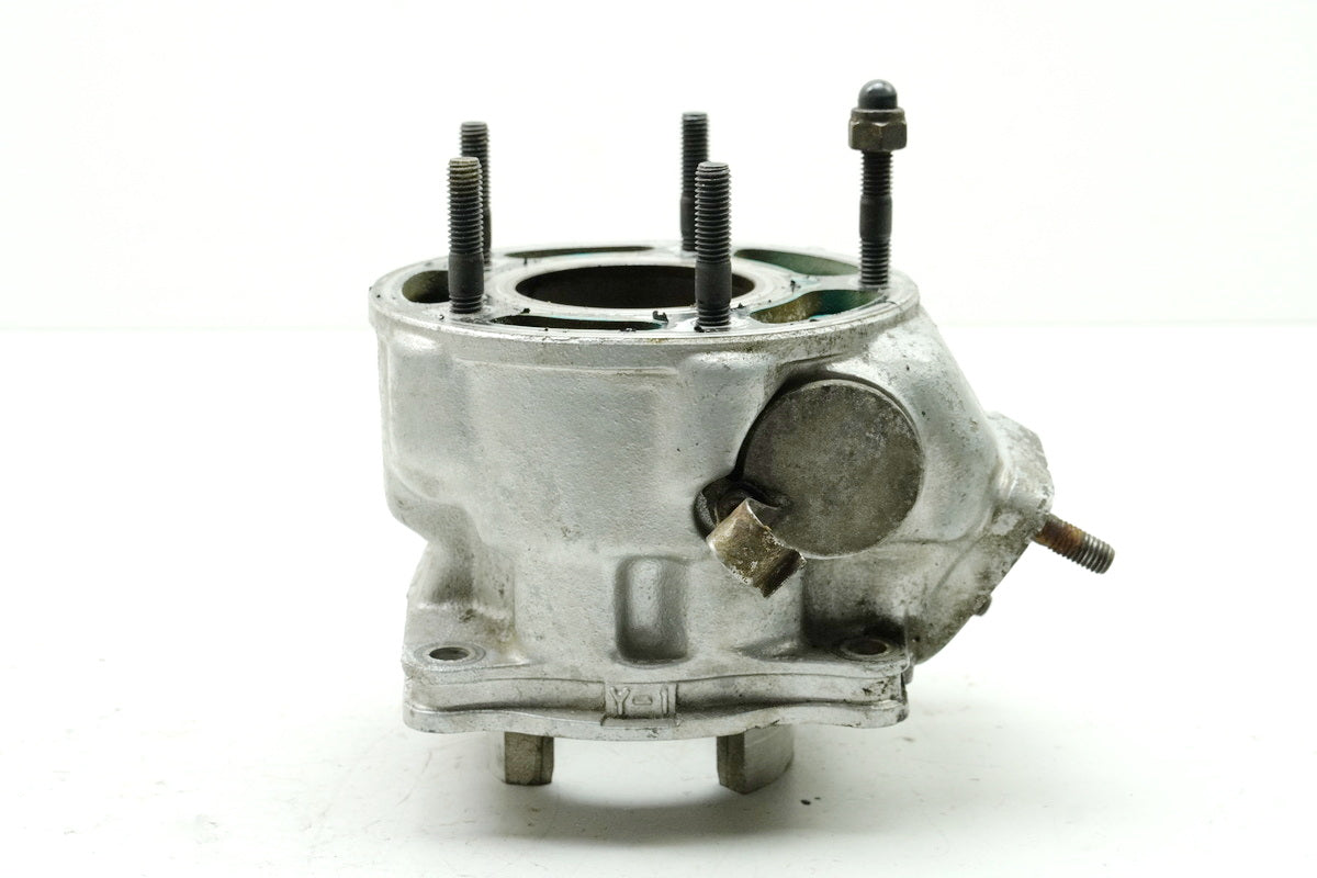 YAMAHA TDR 125 3XE Belgarda Cylinder & Piston (for Engine)