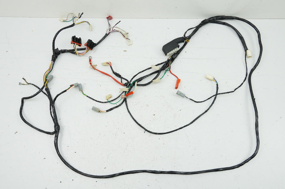 PIAGGIO SFERA 50 C01 Mazo de cables principal (para motor)