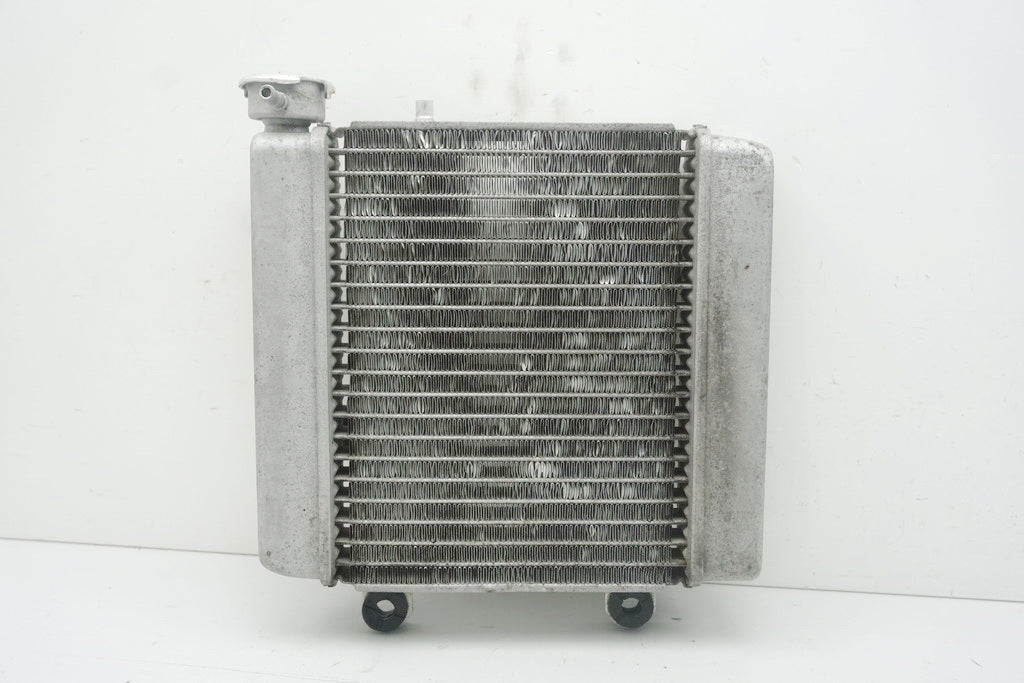 HONDA FES 125 JF12 PANTHEON Kühler original Wasserkühler Water Cooler