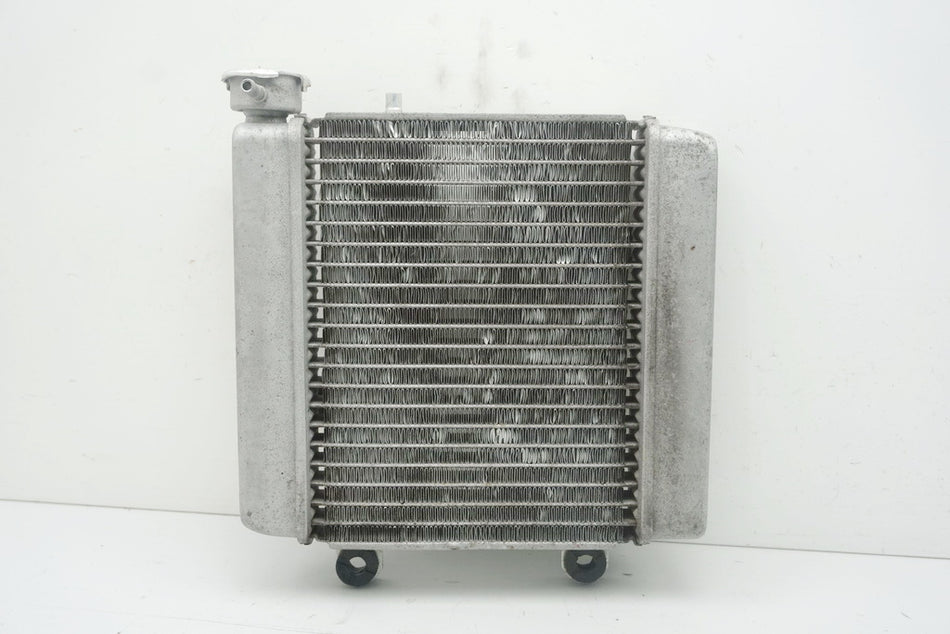 HONDA FES 125 JF12 PANTHEON Kühler original Wasserkühler Water Cooler