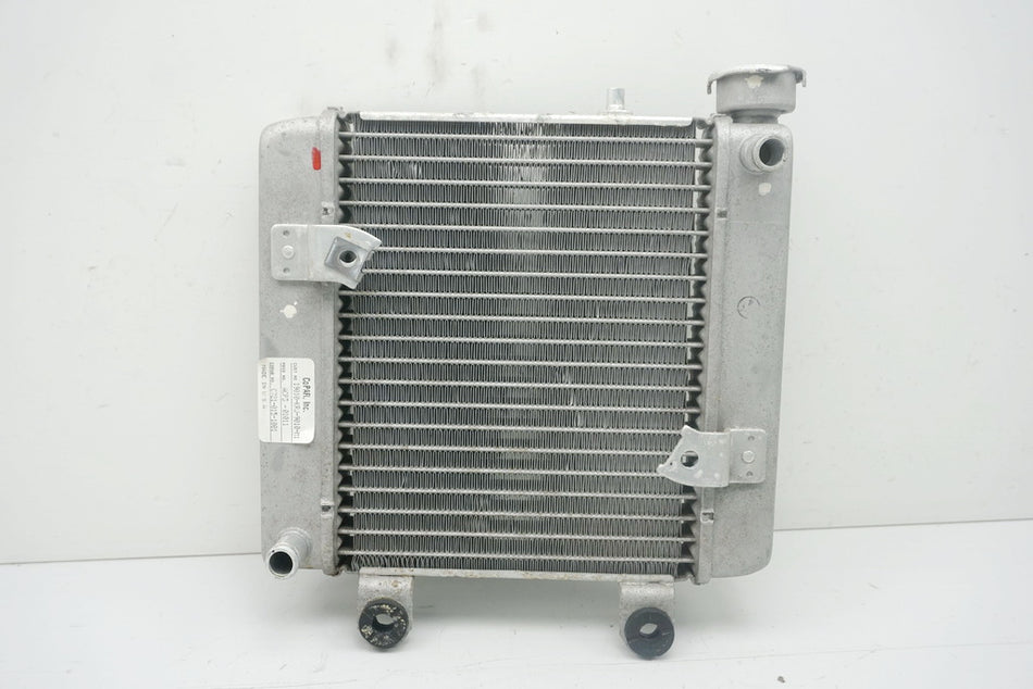 HONDA FES 125 JF12 PANTHEON Kühler original Wasserkühler Water Cooler