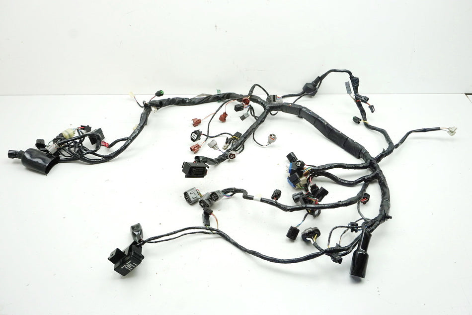 KAWASAKI ZX-10R ABS ZXT00J/J-K Cableado principal 26031-1233 - como nuevo