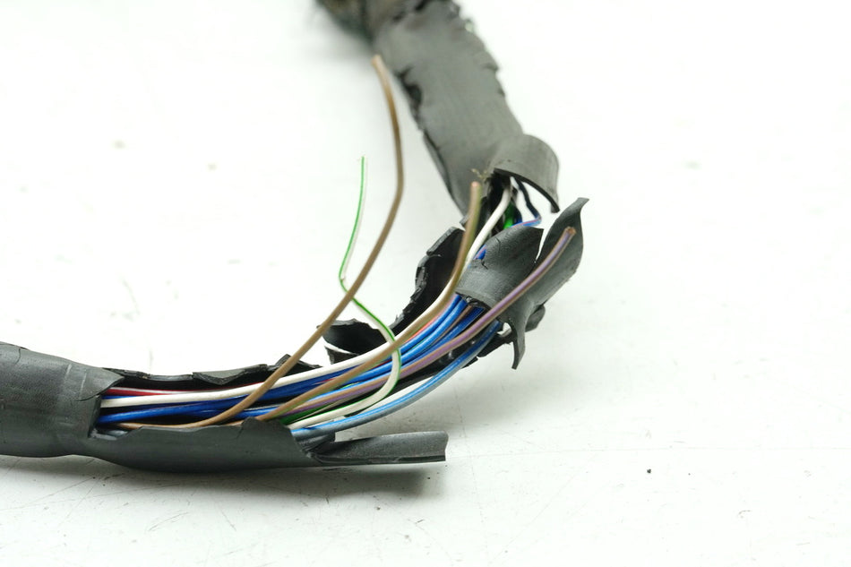 BMW R 1150 R R21 Cableado Cabina Luces de control Cable Mazo de cables