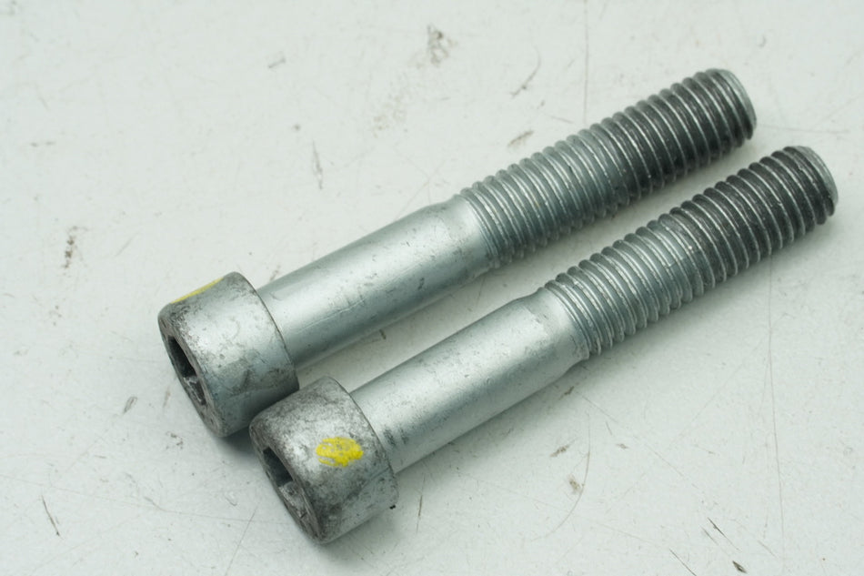APRILIA RS 125 RS4 ZD4TW Schrauben für Bremssattel vorn Halteschrauben