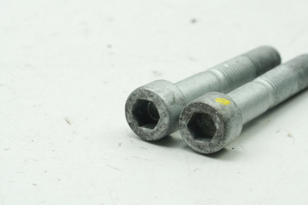 APRILIA RS 125 RS4 ZD4TW Tornillos para pinza de freno delantera Tornillos de sujeción
