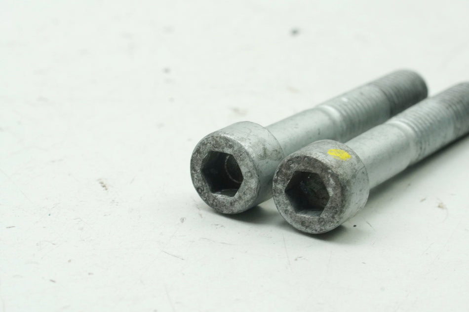 APRILIA RS 125 RS4 ZD4TW Schrauben für Bremssattel vorn Halteschrauben
