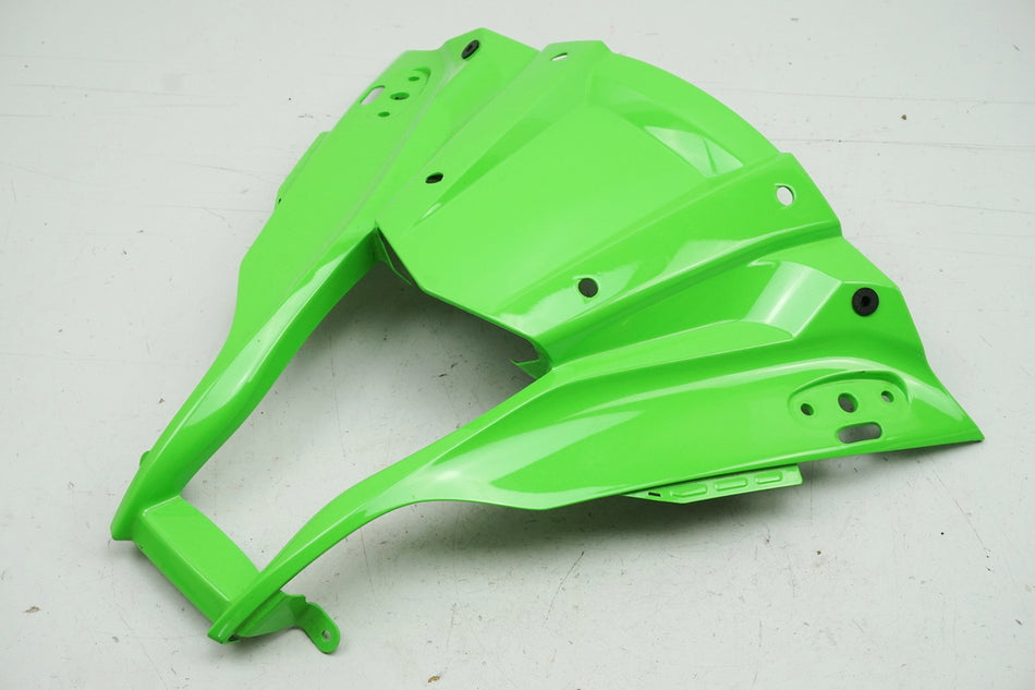 KAWASAKI ZX-10R ABS ZXT00J/J-K Carenado delantero Cúpula Máscara Cubierta Faro