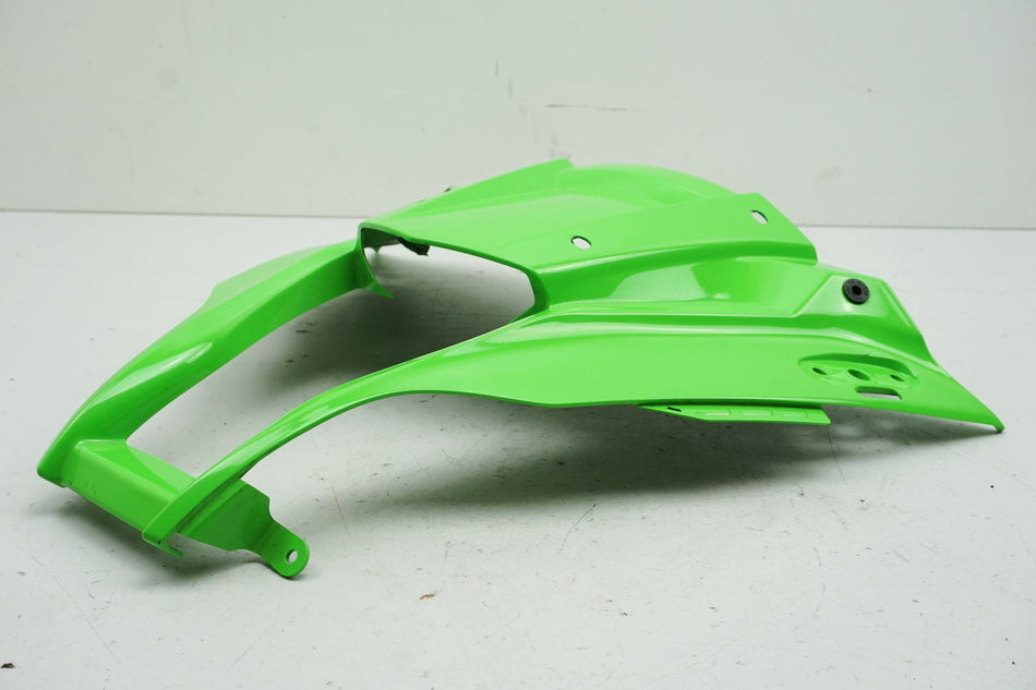 KAWASAKI ZX-10R ABS ZXT00J/J-K Carenado delantero Cúpula Máscara Cubierta Faro