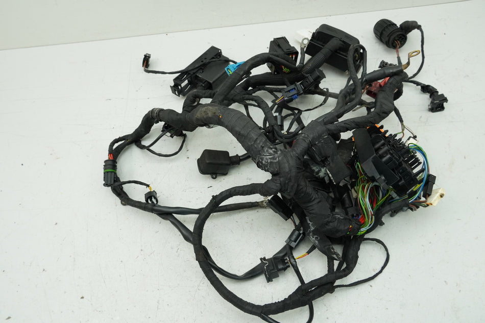 BMW F 650 GS E650G R13 Mazo de cables principal (para motor)