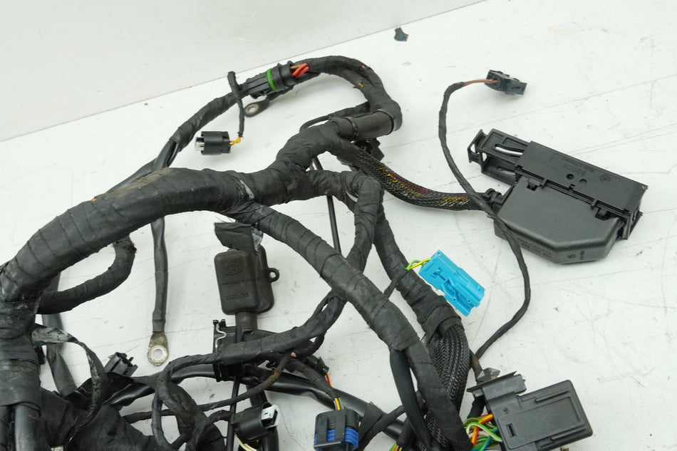 BMW F 650 GS E650G R13 Mazo de cables principal (para motor)