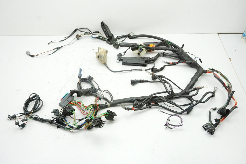 BMW R 850 R 259 Mazo de cables, cableado principal - hasta año 1997