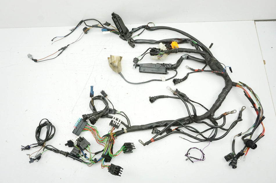 BMW R 850 R 259 Mazo de cables, cableado principal - hasta año 1997