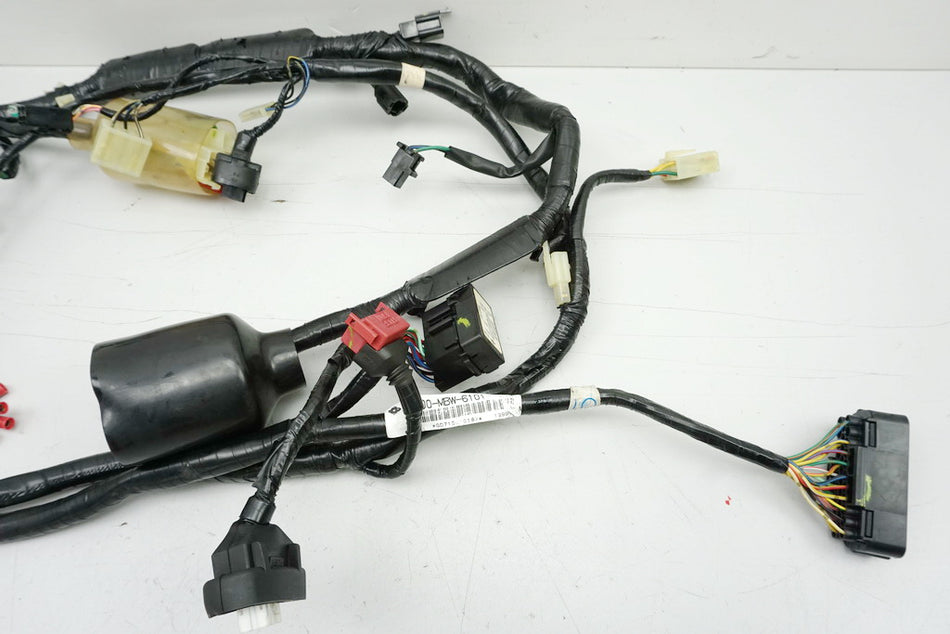 HONDA CBR 600 PC35 Mazo de cables principal - 32100-MBW-6101 - 99-00