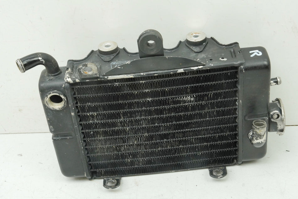HONDA XL 600 PD06 TRANSALP Radiador derecho original Radiador de agua para circuito de refrigeración