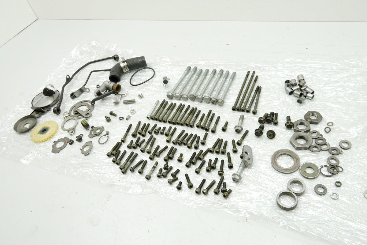 MZ / MUZ MASTIFF 660 BAGHIRA Schrauben & Kleinteile - Motor