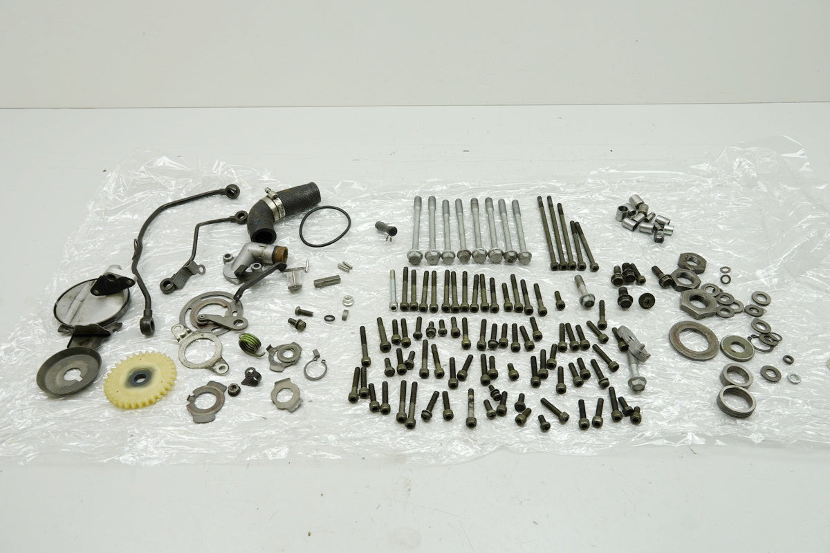 MZ / MUZ MASTIFF 660 BAGHIRA Schrauben & Kleinteile - Motor